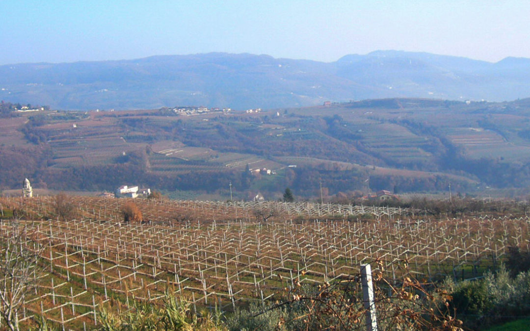 Navštívili jsme severoitalskou vinařskou oblast Valpolicella