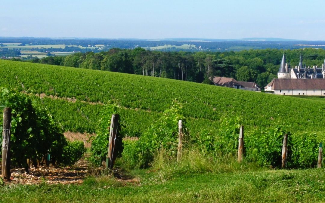 Putování za víny Loire 2018